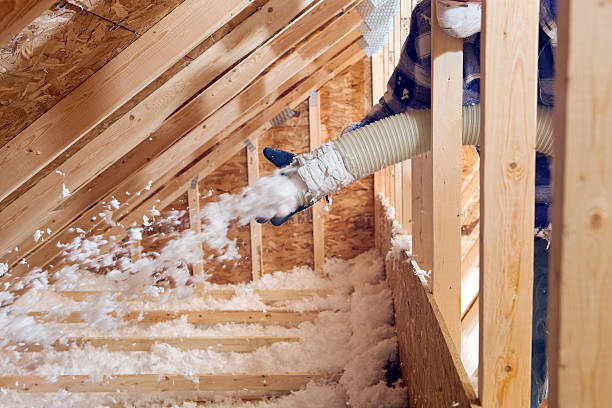 Best Attic Insulation Installation  in USA